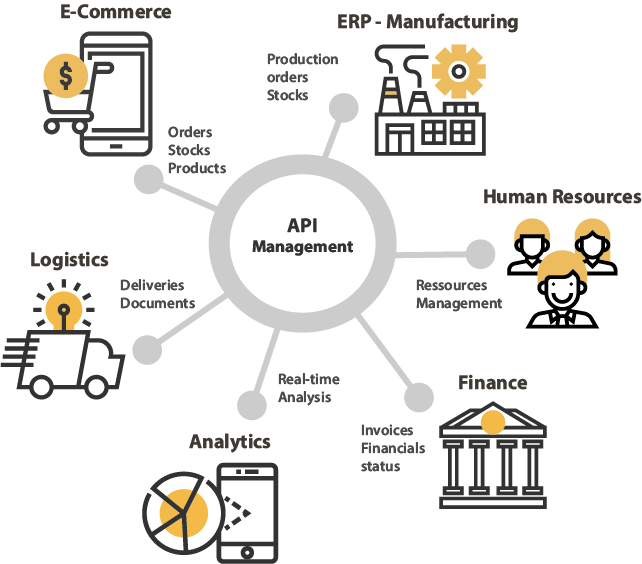 API Integration Services