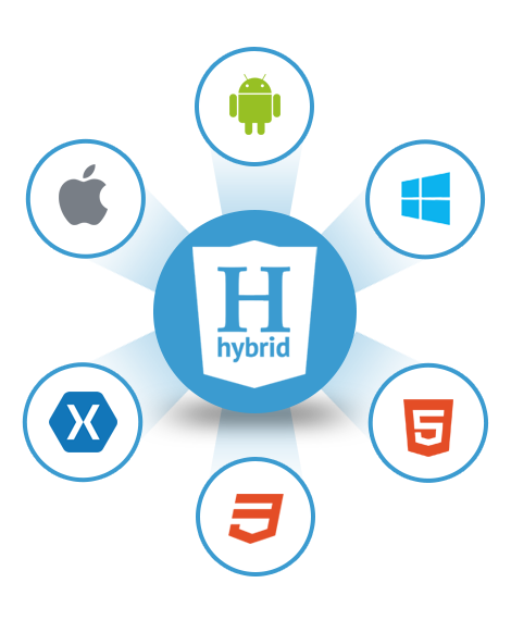 Hybrid Application Development